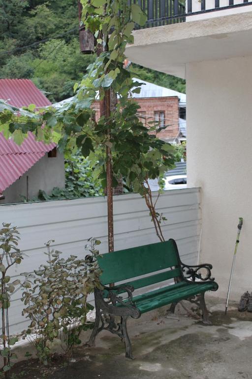 Jardí fora de mariko