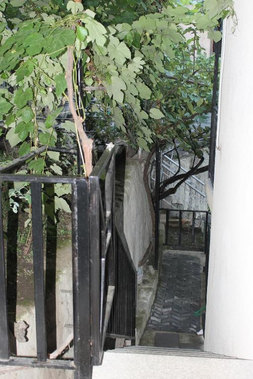 Jardí fora de mariko