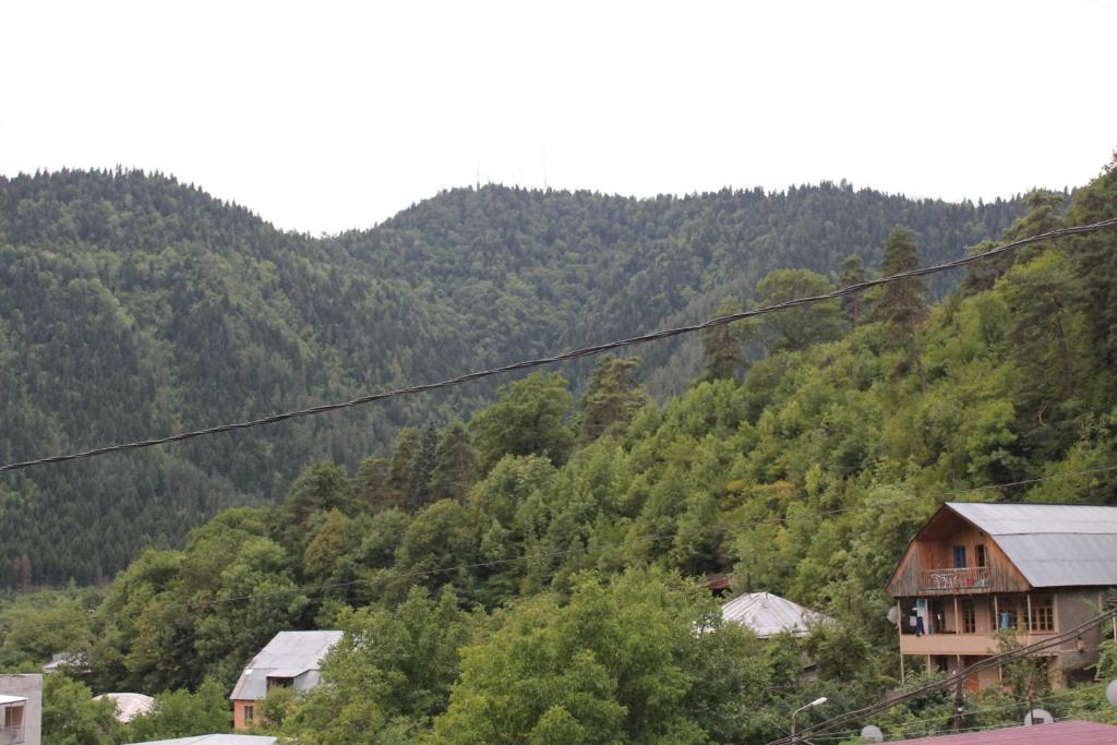 Paisatge natural a prop de l'hostal o pensió