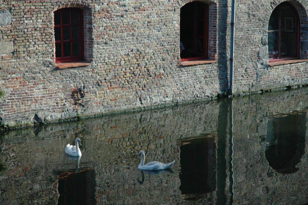 Canal View Hotel Ter Brughe by CW Hotel Collection