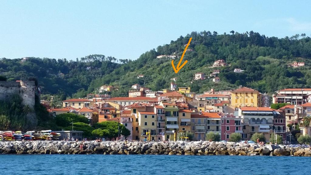 a group of animals standing in front of a city at La Torretta in Lerici