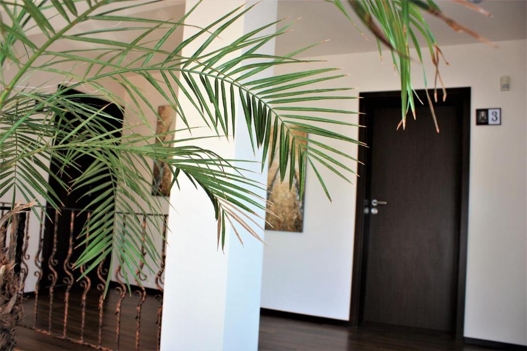 Fotografie z fotogalerie ubytování Silva House v destinaci Deva