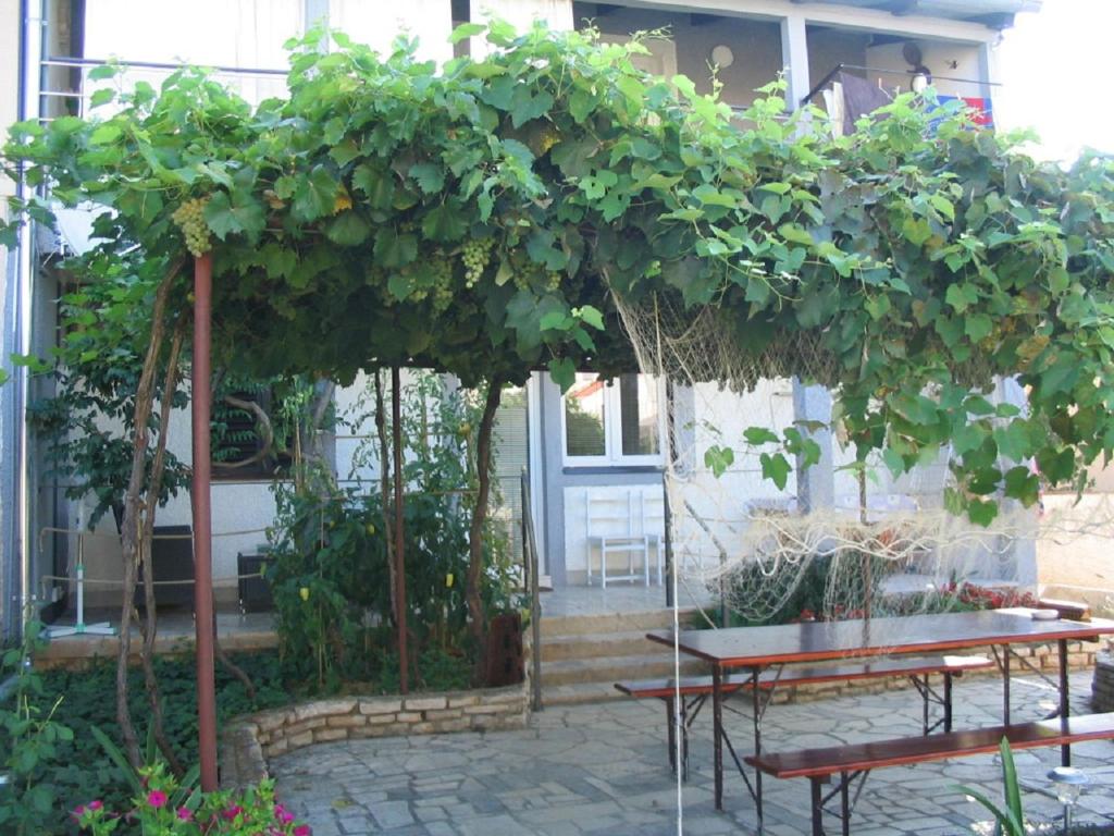 Zahrada ubytování Apartment Amfora on the ground floor