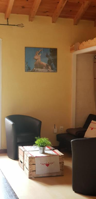 Posezení v ubytování calsimunot