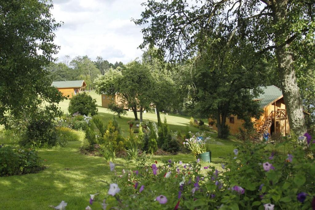 um jardim com flores e uma casa ao fundo em Mucenieki pie Tukuma em Brizule