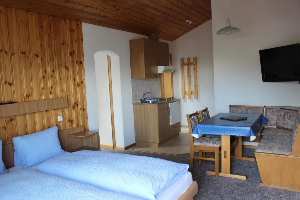 TV a/nebo společenská místnost v ubytování Hotel Alpha