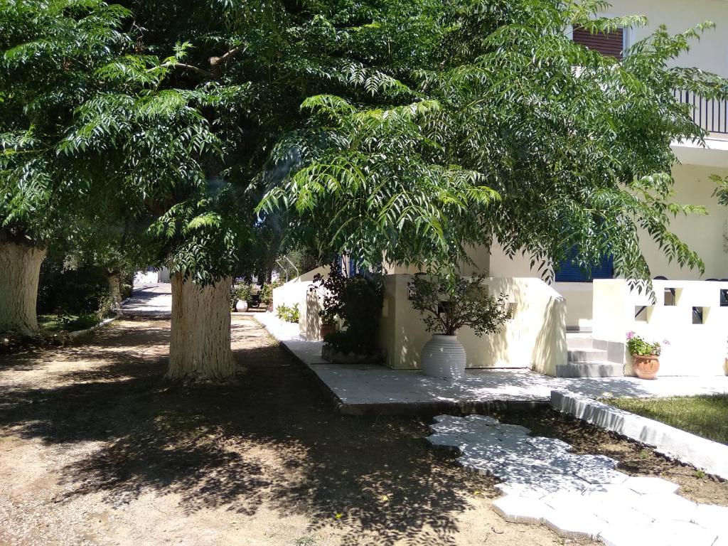 Zahrada ubytování Sarantakis Apartments