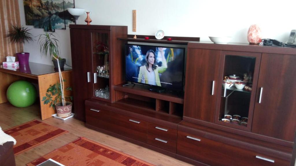 TV a/nebo společenská místnost v ubytování Svit Dovolenkový dom