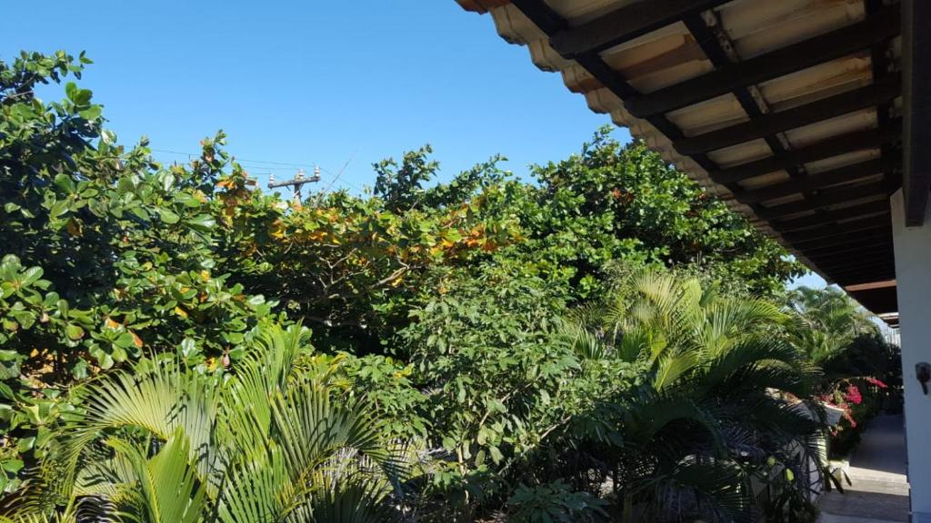  Banho de Mar em Cabo Frio