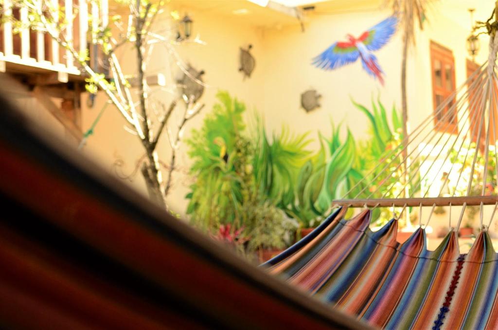 Fotografie z fotogalerie ubytování MYKONOS - Adult Hotel v destinaci San Cristóbal de Las Casas