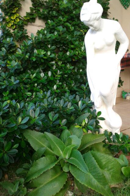  Village Na Frente Da Praia