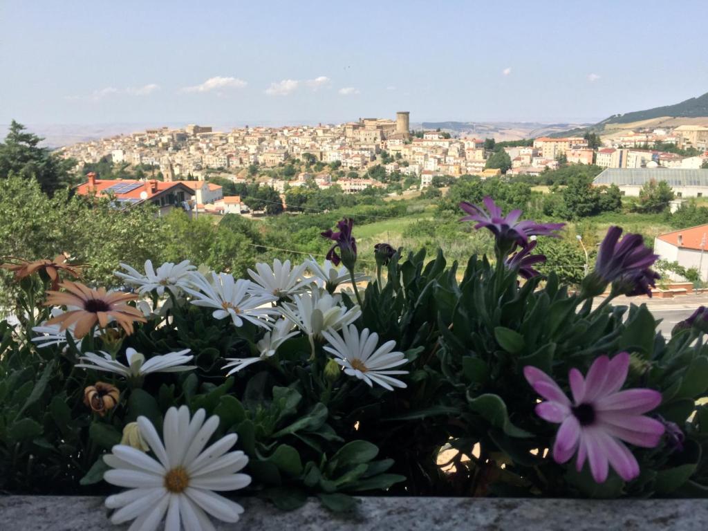 Nespecifikovaný výhled na hory nebo výhled na hory při pohledu z bed and breakfast