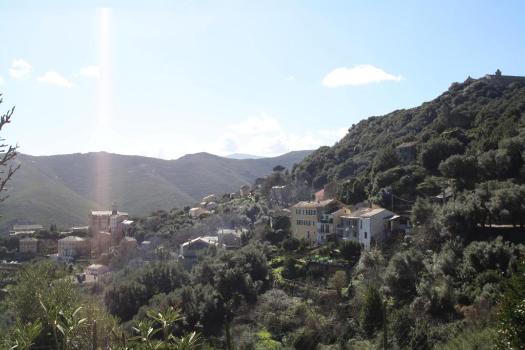 Roglianoにあるa casettaの山を背景にした丘の上の村