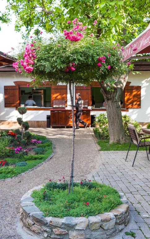 Zahrada ubytování Konak Nestor Bungalows