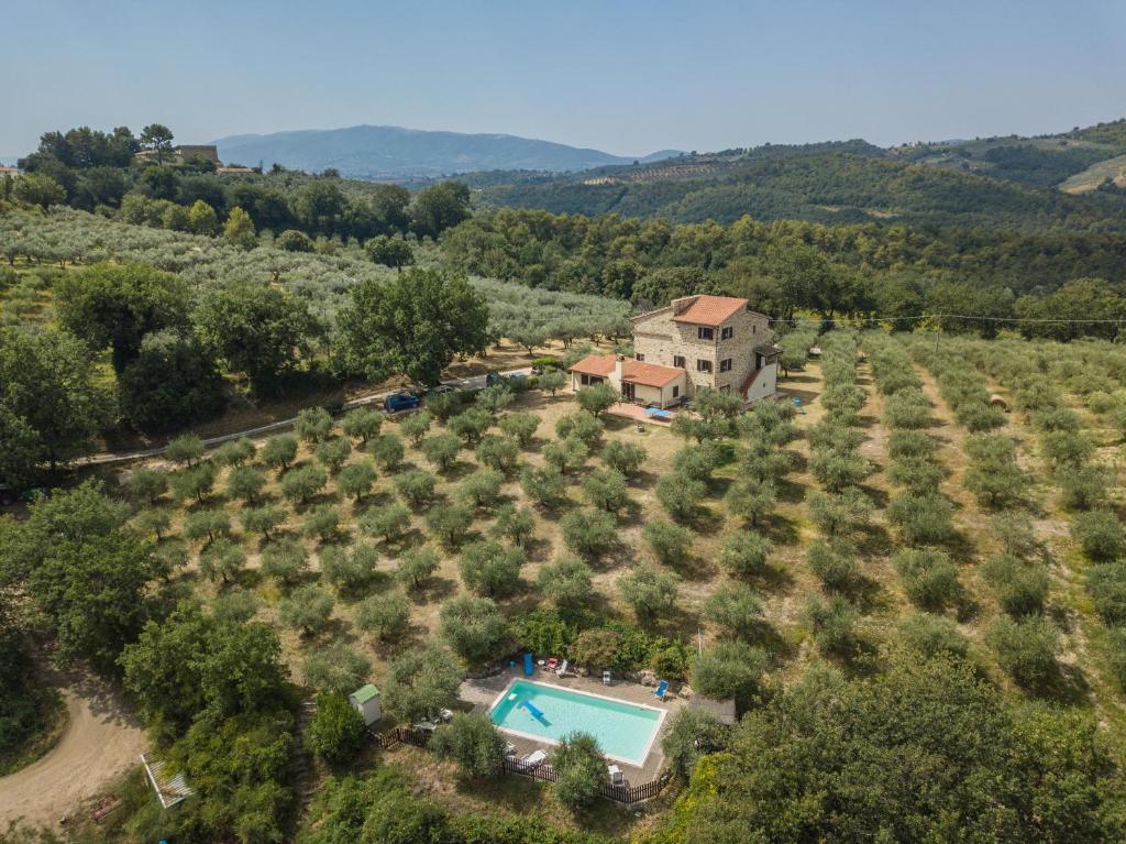 an aerial view of a vineyard with a house and a swimming pool at Maestà delle Quattro Chiavi in Bevagna