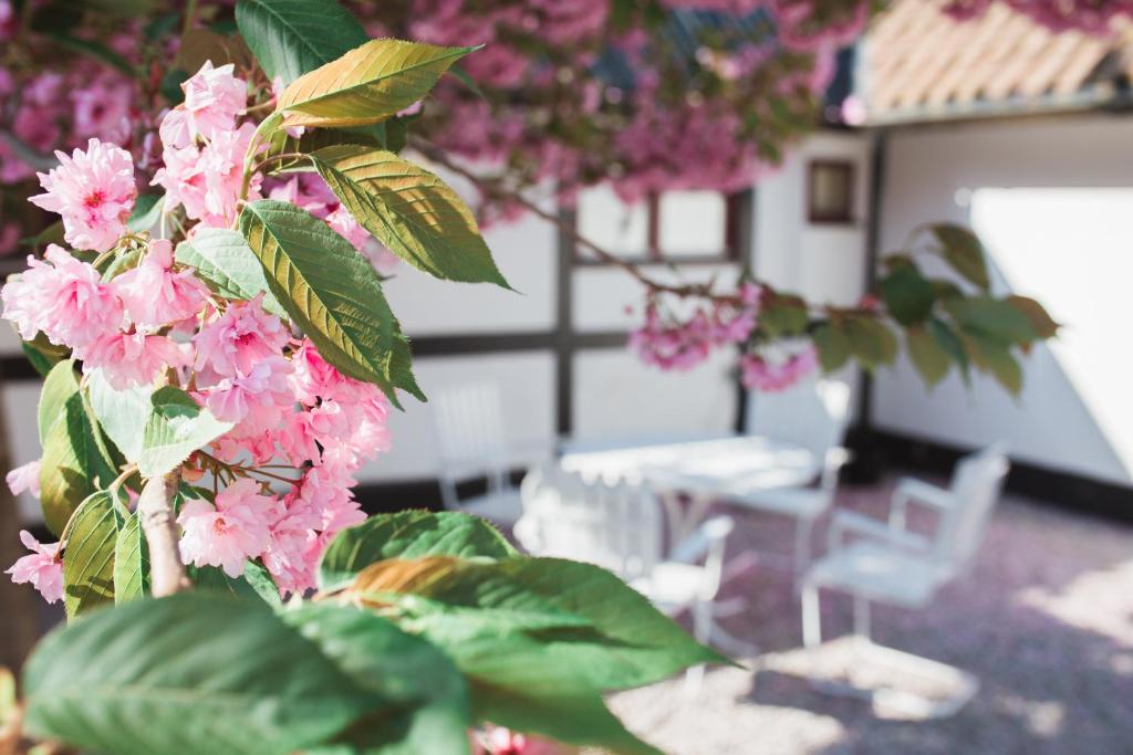 Zahrada ubytování Landet Bed and Breakfast