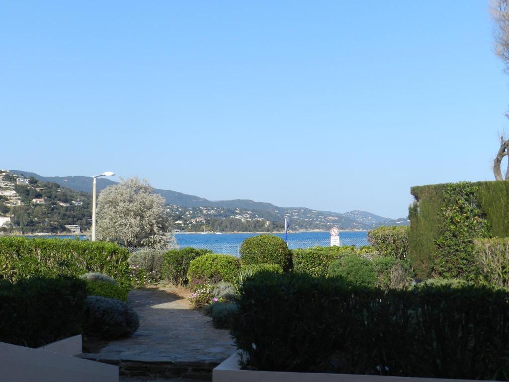 a walkway through a garden with a view of the water at Appartement les Pieds dans l'eau ! in Le Lavandou