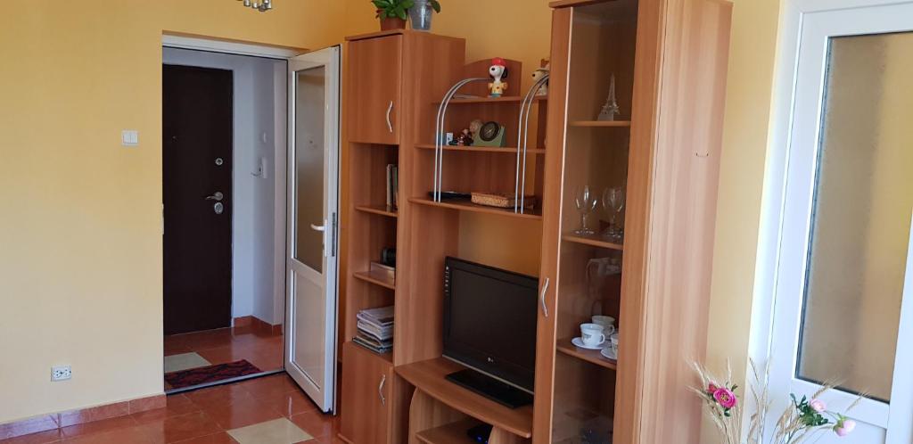 Μια τηλεόραση ή/και κέντρο ψυχαγωγίας στο Apartament Gabriela