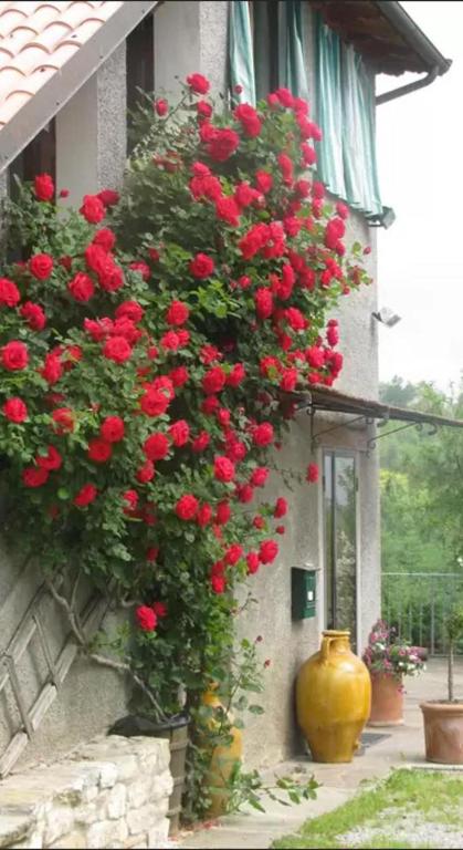 Zahrada ubytování Casa Mazzocchi Vista su Poppi