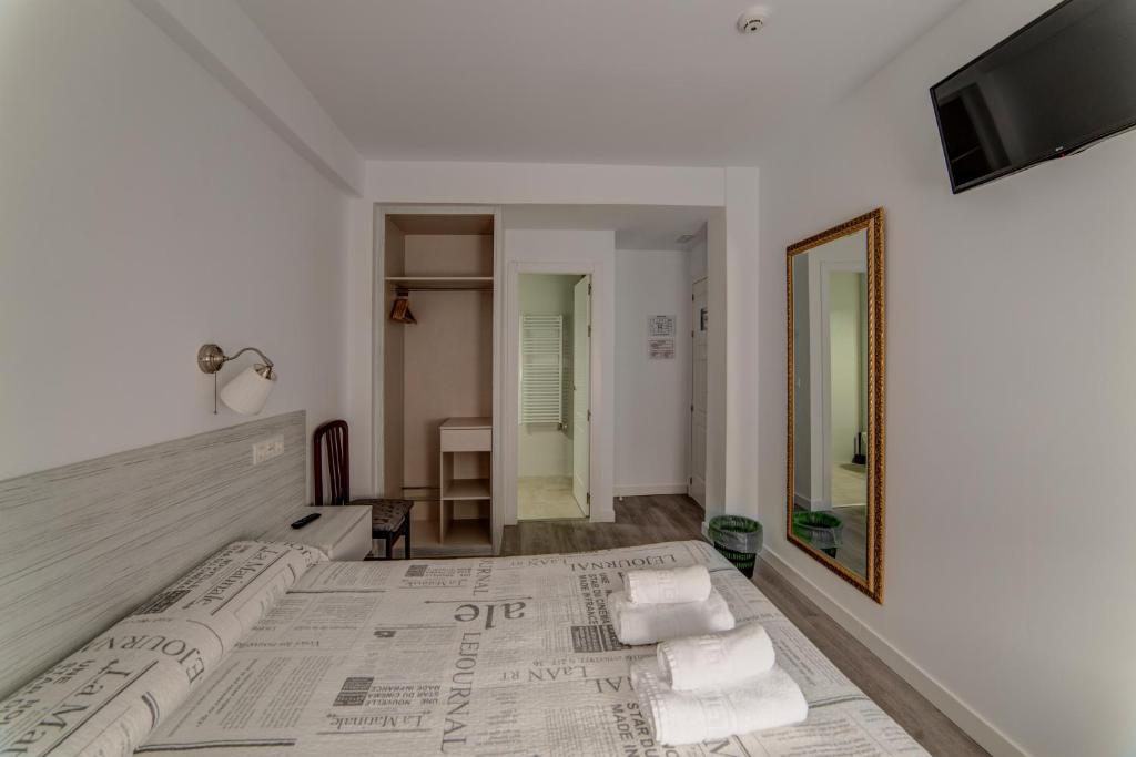 1 dormitorio con cama, espejo y TV en Hostal Lar, en Burgos