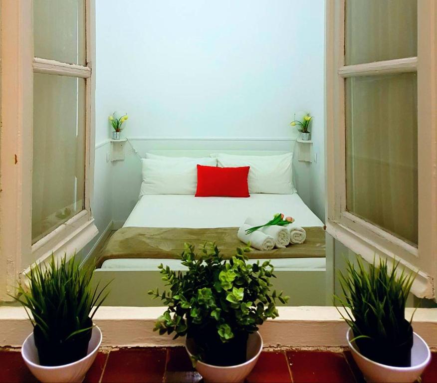 マドリードにあるMadrid City Appartmentsの鉢植えの植物2本が備わる部屋の小さなベッド1台