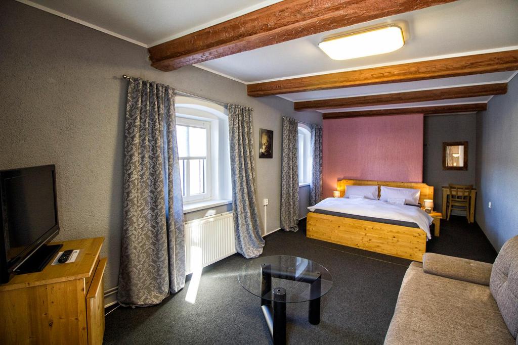 um quarto de hotel com uma cama e um sofá em Pension U Přístavu em Pomezí nad Ohří