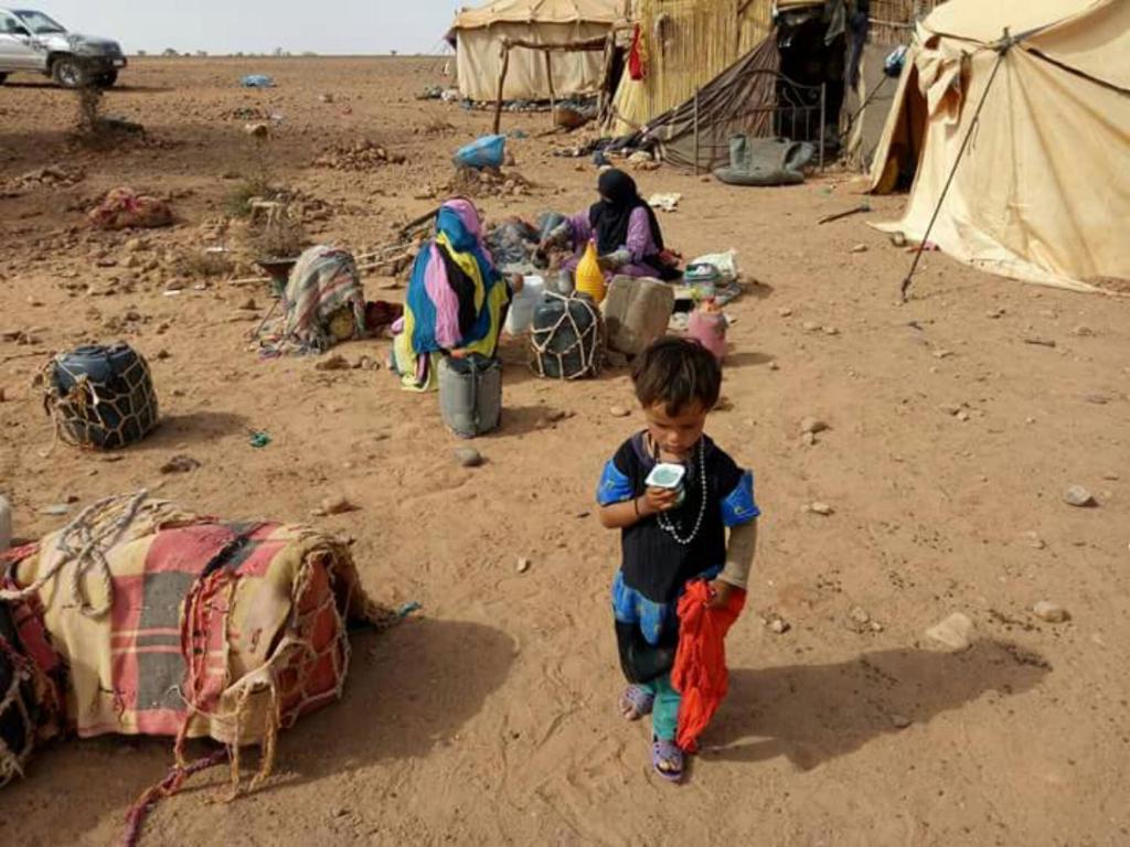 Hosté ubytování Sahara Peace