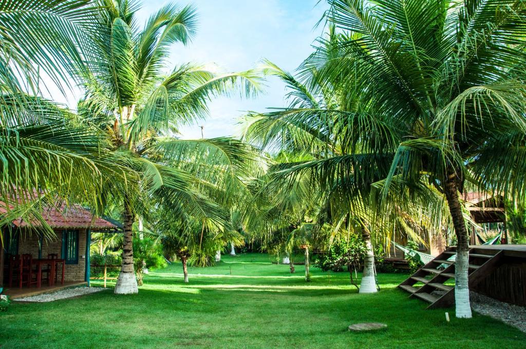 Maui do Brasil