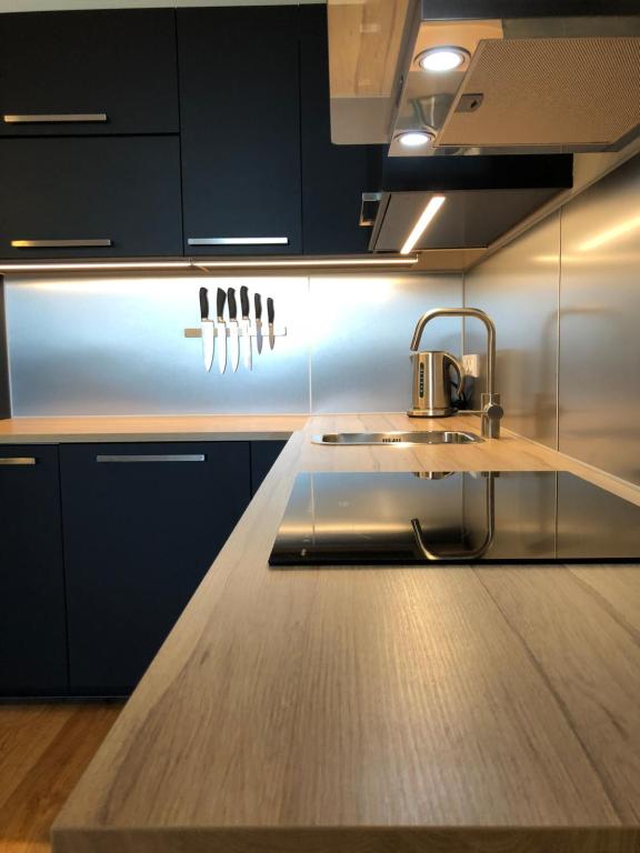 Kuchyň nebo kuchyňský kout v ubytování Apartmán Jestřáb