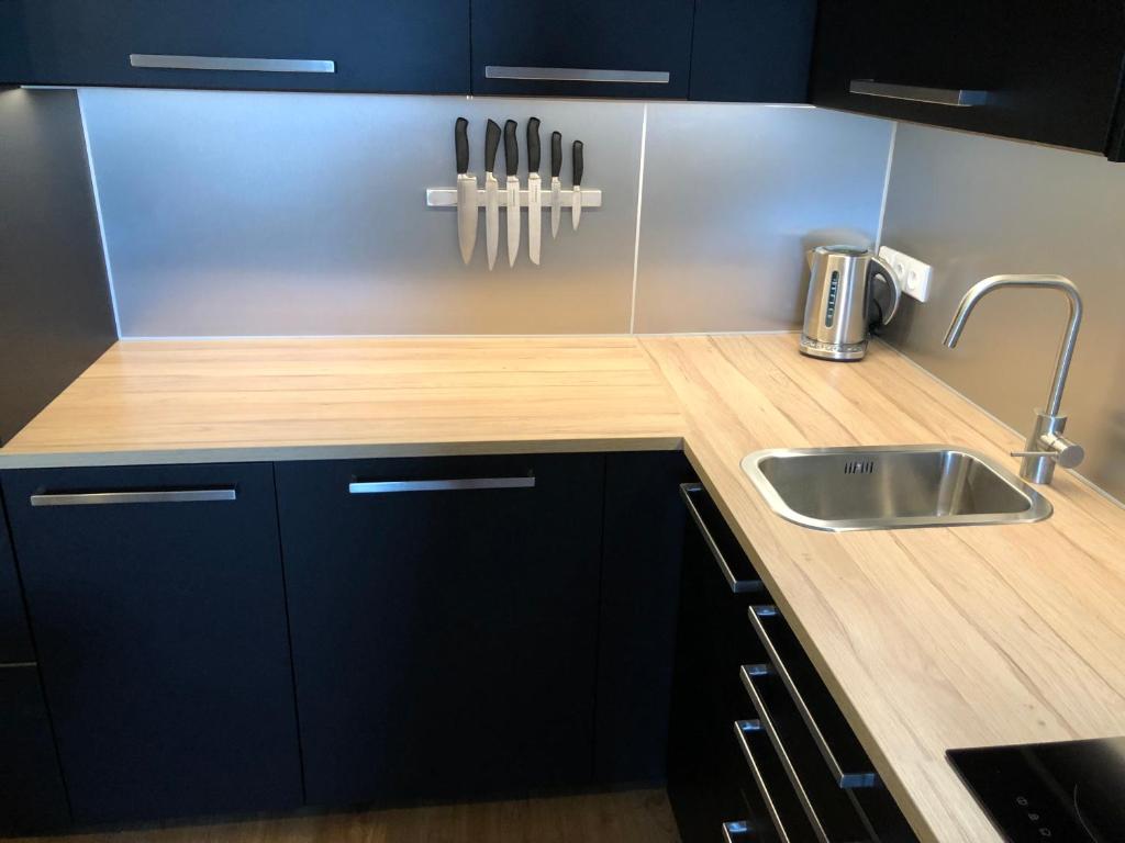 Kuchyň nebo kuchyňský kout v ubytování Apartmán Jestřáb