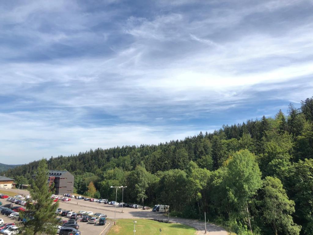 Příroda nedaleko apartmánu