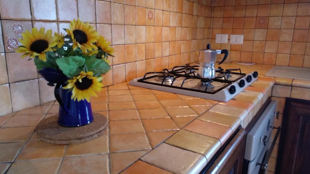 a kitchen counter with a vase of sunflowers on a stove at Open Space Marianna in Trabia