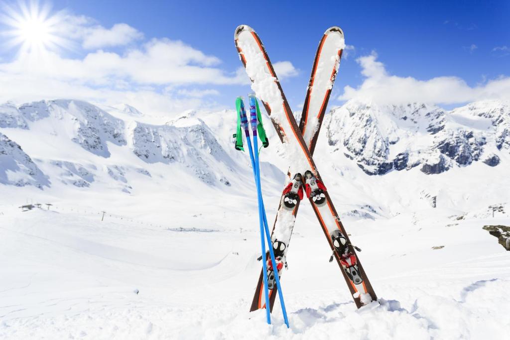 Adventure Senja Skrollsvika (updated prices 2024) Adventure Senja Skrollsvika (updated prices 2024)