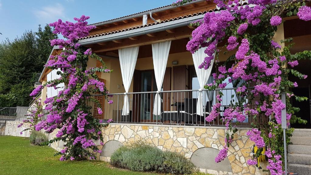 トスコラーノ・マデルノにあるApartment San Pietroの紫の花の家