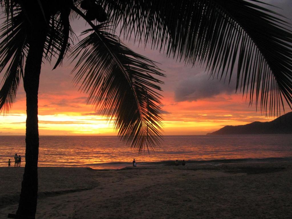a palm tree on a beach with a sunset at Casa de 4 quartos em Paúba (SP) in Pauba