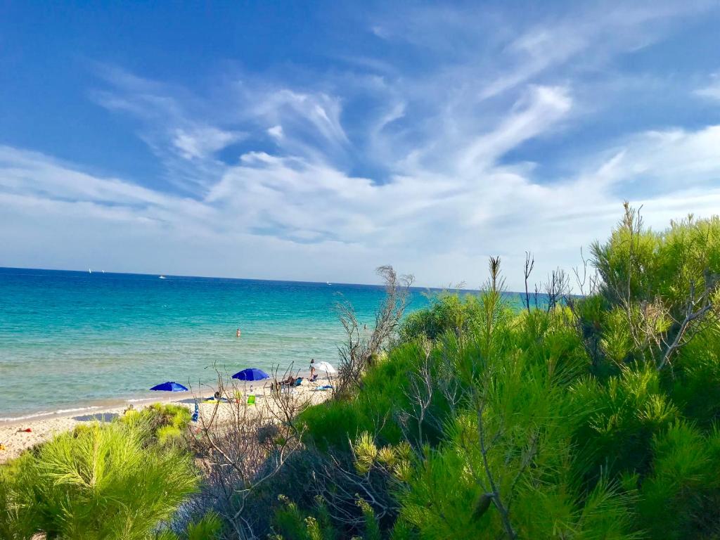 a beach with umbrellas and the ocean at Villa stella di mare in Capitana