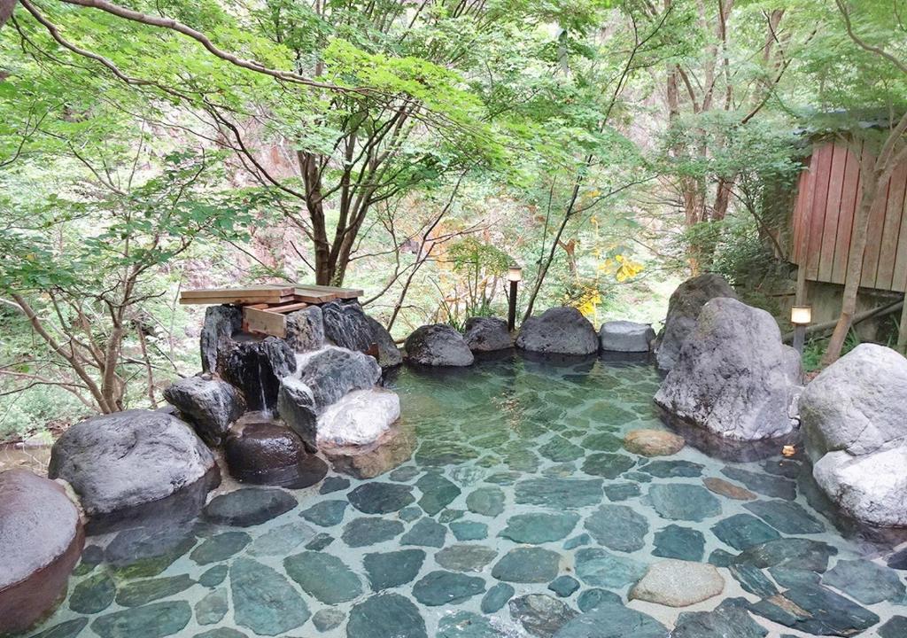 Zahrada ubytování Hotel Yunishigawa