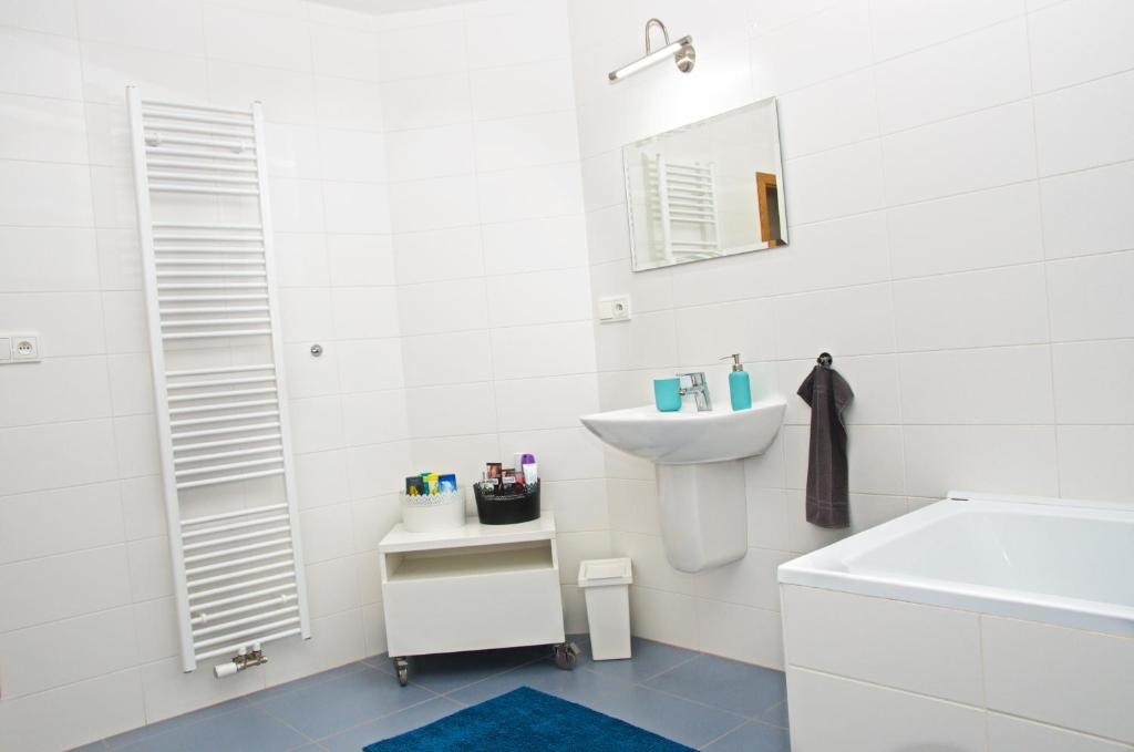 Koupelna v ubytování Apartment Husova