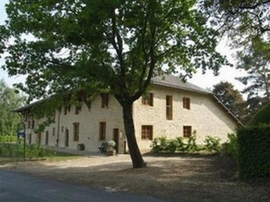 una grande casa bianca con un albero di fronte di La Corrérie a Les Grandes-Armoises