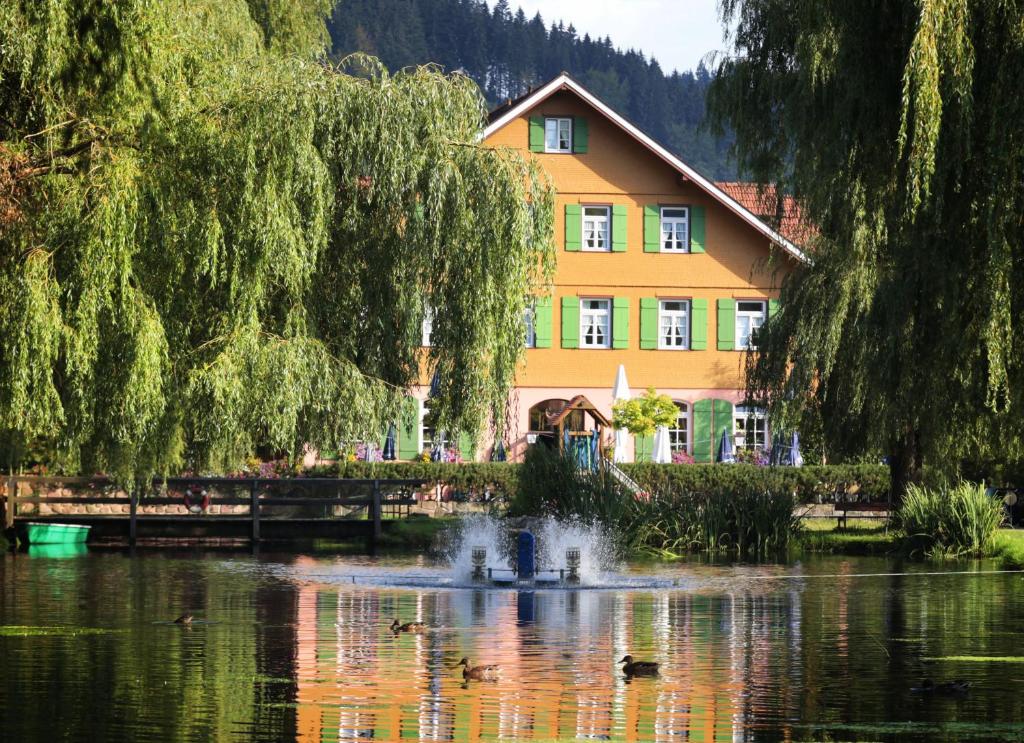 a building with a fountain in the middle of a lake at Hotel Zur alten Mühle in Neuenbürg