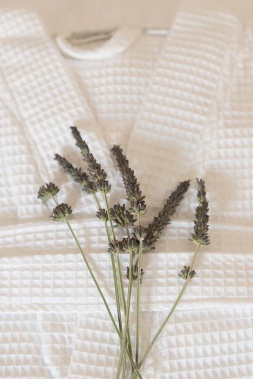 Calme Suites Mani - 9