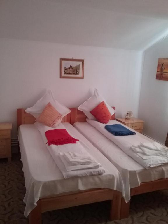 2 Betten in einem Zimmer mit Handtüchern darauf in der Unterkunft Pensiunea Magura in Baia de Fier
