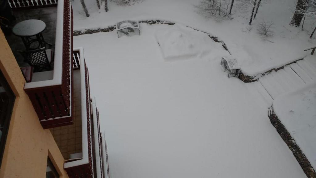 Bosque Nevado v zimě