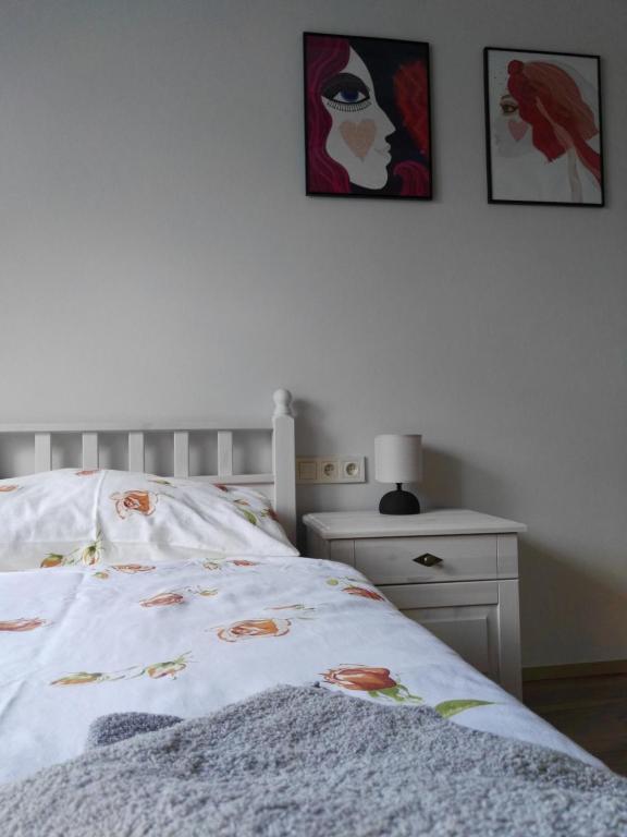 Postel nebo postele na pokoji v ubytování Apartmán "Na Třináctce" Březiny u Poličky 13