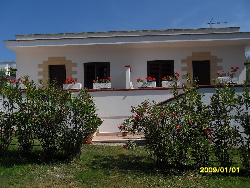 A garden outside Perla del Salento