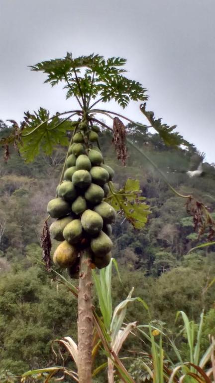  Rancho do Índio Petar