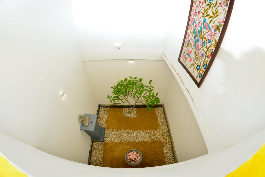 Fotografie z fotogalerie ubytování Green Ayurvedic Beach Resort v Negombu