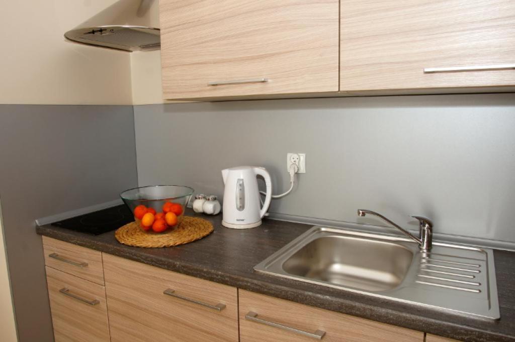 Kuchyňa alebo kuchynka v ubytovaní Apartament Jedynka