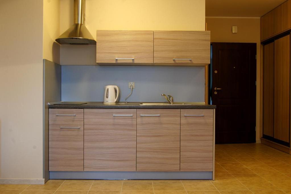 Kuchyňa alebo kuchynka v ubytovaní Apartament Jedynka