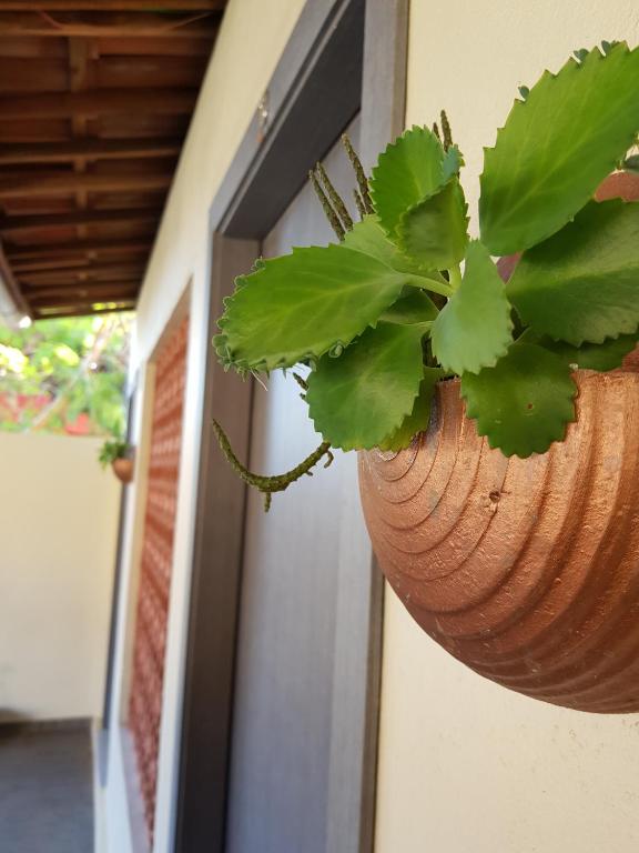  Privê da Milinha